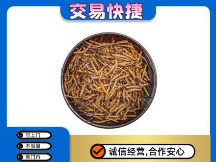 通辽高价回收散虫草